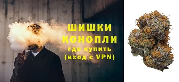 спиды Каменногорск