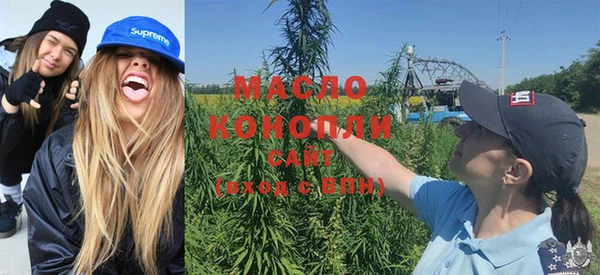 скорость Каменка