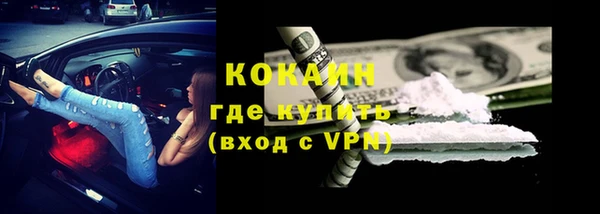 ПСИЛОЦИБИНОВЫЕ ГРИБЫ Переславль-Залесский