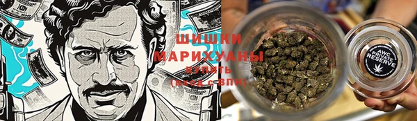 скорость Каменка