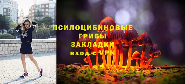 прущие грибы Осташков