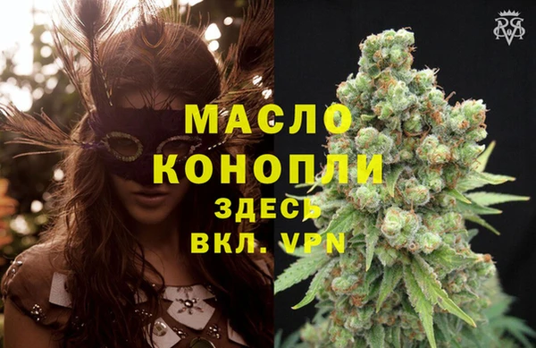 спиды Каменногорск